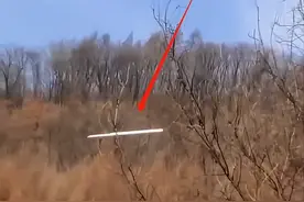 北京男子拍到不明飞行物：“白色光柱”横穿树林，很像“金箍棒”图片