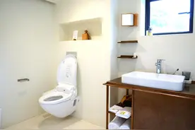 5种传统卫浴用品别再买了，每种都有两个替代品，不贵但是更好用图片