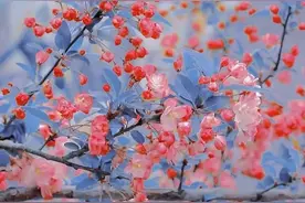 人生境界：在自己的世界里独善其身，在别人的世界里顺其自然图片