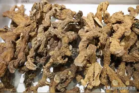 “明星中药”黄精，炮制繁杂但功效很多，为啥不能经常用？图片