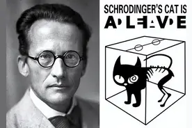 薛定谔的猫只是一个思想实验，但它带来的现实意义超乎想象！图片