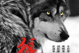 《狼道》:男人就得像狼一样活着图片