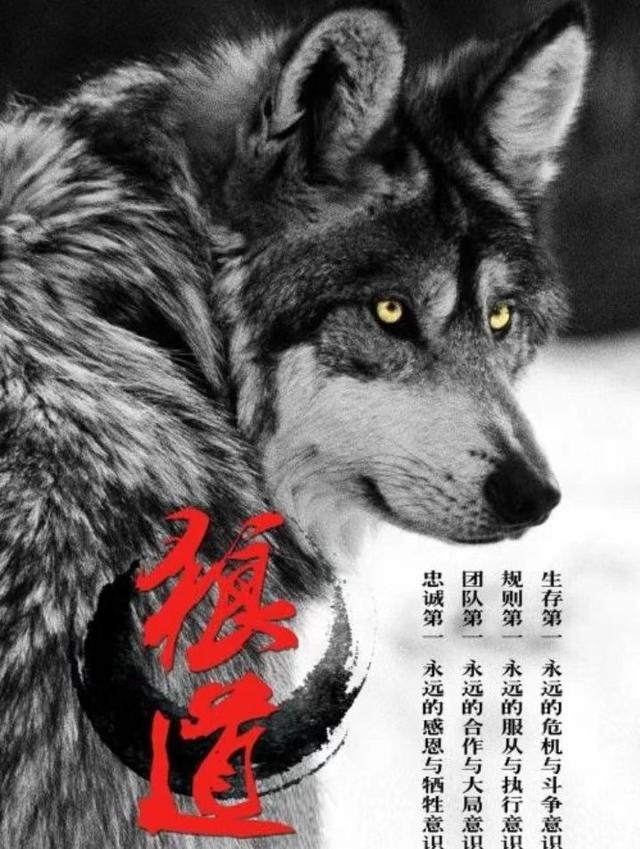 《狼道》:男人就得像狼一样活着