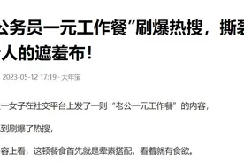 “公务员一元工作餐”，并非你想象的那样。图片