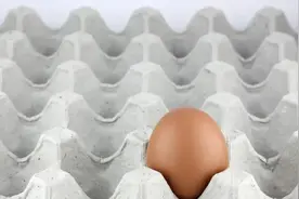 惊！废品变身宝藏，鸡蛋托盘妙用揭秘！图片