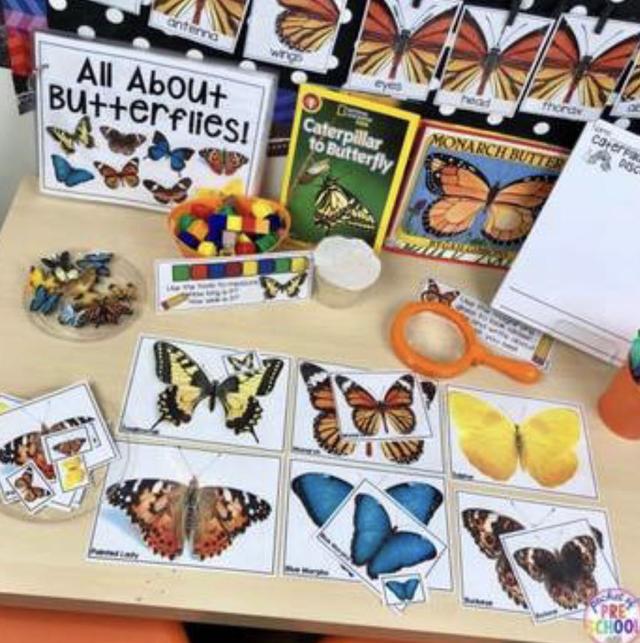 С��ѧ��̽��ϵ��֮���ں��������׻�زİ�