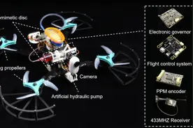 国内首创两栖无人机！上天入水一秒切换，还有神奇「仿生」配件图片
