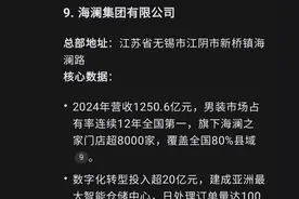 DeepSeek评选江苏省十大龙头企业，海澜集团仅排第9，第1名没争议图片
