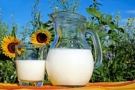 打豆浆用湿豆还是干豆？牢记这“3点”，豆浆香浓又好喝图片