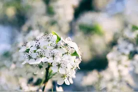 人生中，注定有一个人，是你躲不过的“情劫”图片