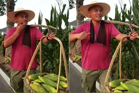 演员黑子下地干农活！用扁担挑玉米脸部通红，戴草帽兴奋跳秧歌图片
