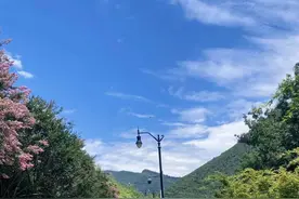 从明天起，做一个幸福的人图片