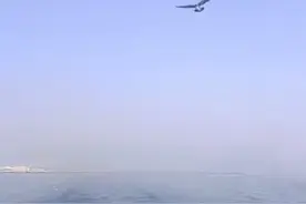 魏羽馨归于大海了，在妈妈离开的时候一只海鸥飞过来图片
