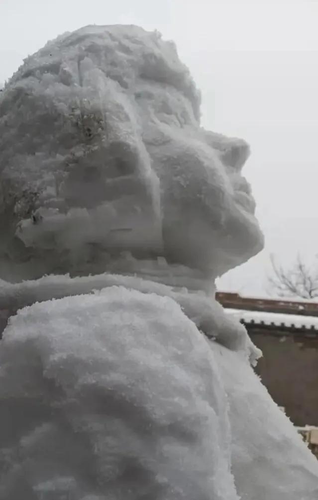 大郑州堆雪人内卷严重，哪个是金奖？全河南的雪人都在这里了