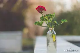 人过五十，感情淡薄，没有什么朋友，多半混成了这些样子图片