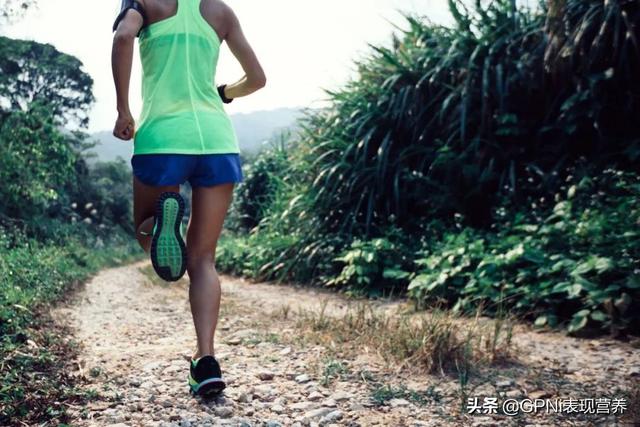 耐力运动专项训练与营养 Endurance Training and Nutrition