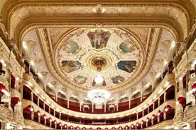 维也纳金色大厅图片