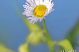 暗示对过去已释怀的走心文案图片