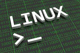rescue救援模式修复redhat linux文件系统图片