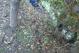 电动车过弯太快径直冲向河道 路过辅警群众紧急施救图片