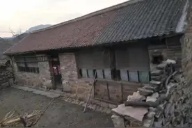 妈妈久病，我成医图片