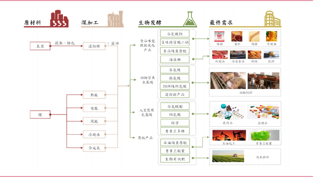 梅花生物—苏、赖氨酸全球龙头，受益于豆粕减量替代提速