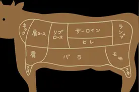 【牛肉部位分割图】 牛肉各部位吃法￼！图片