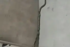 男子午睡掀开被窝窜出2米长蛇：我瞬间跳地上，蛇吓得顺墙爬图片