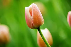 人老了，和亲戚朋友年底聚餐，要学会闭嘴，尽量避开以下几个话题图片