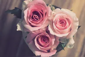 女人会有婚外情，无非是这几个原因图片