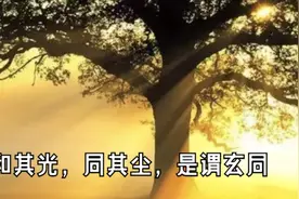 理解《道德经》第五十六章-和其光，同其尘，是谓玄同图片
