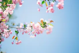 情感散文：情深，缘浅，来生不遇图片