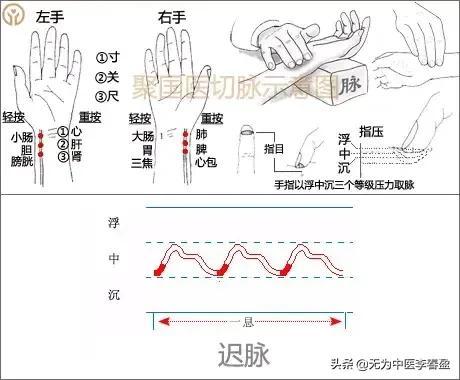把脉能摸到脉搏跳动3-4次)在看位置,把脉其实就是自己(接触皮肤摸不到