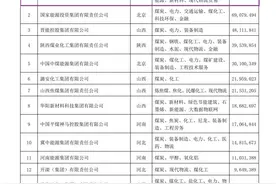 中国煤炭企业50强：山东能源居首，济宁2家企业在列图片