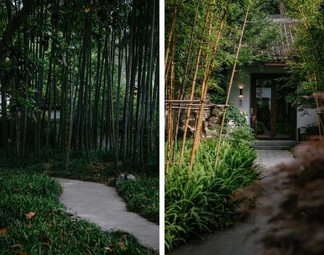 花胶煮瓜 2026年花胶炖煮