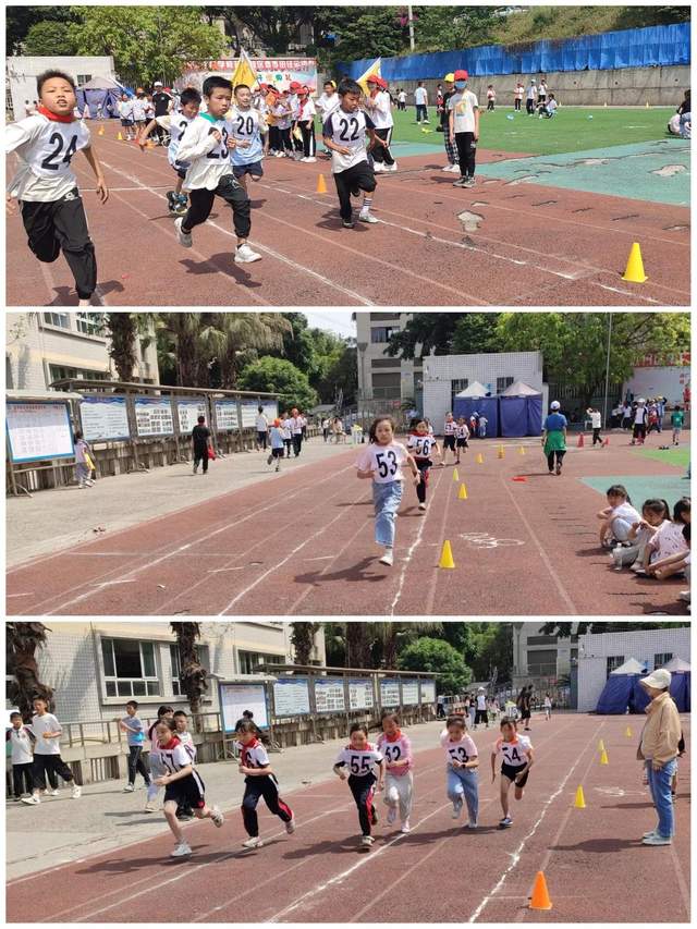 四川省民生研究会新媒体中心-官网