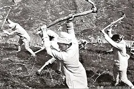 抗战期间延安的军民大生产运动图片