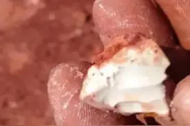 儿时的记忆图片