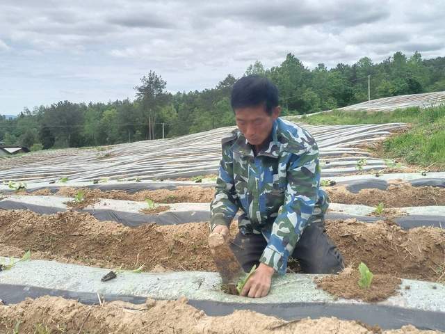 四川省民生研究会新媒体中心-官网