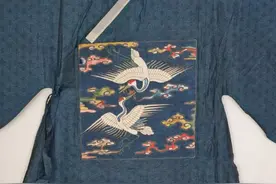 “衣冠禽兽”——明代补服纹饰初探图片