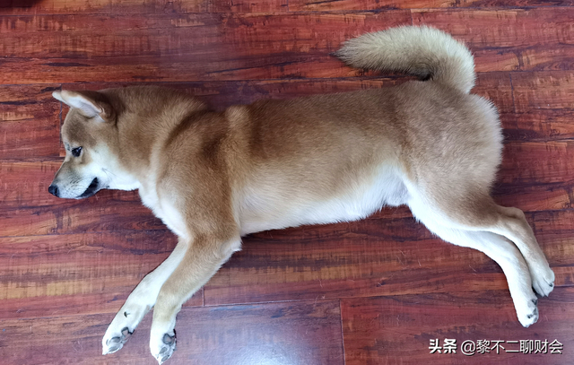 解读来了，成都6.1执行购房新政，来算算至少要准备多少钱