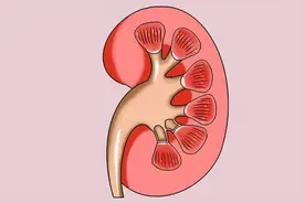 男人“糟蹋”肾的6大行为，吸烟排名垫底，看完榜首，脸都红了图片