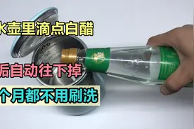 在水壶里滴点白醋，水垢自动往下掉，一个月都不用刷洗，太实用了图片