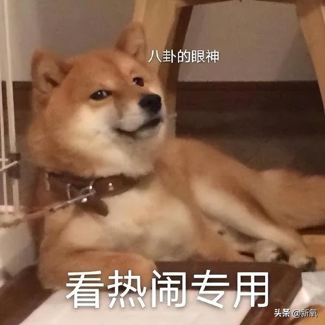 为骂人学腹语，同时交往富商与男神，清纯的b面是疯批？