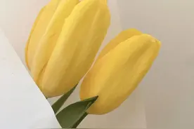 如何提高情绪阈值？图片