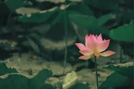 佛说：命里出现这两种人，都是来渡你的图片