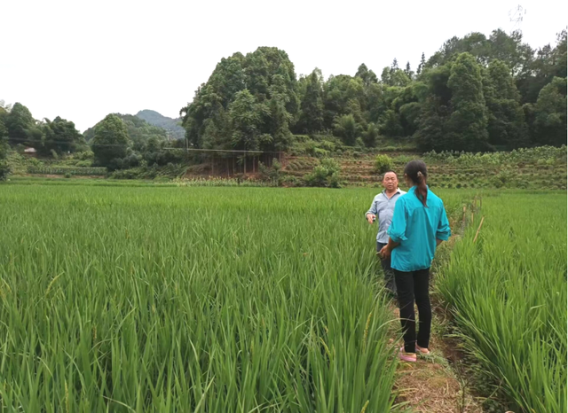 四川省民生研究会新媒体中心-官网