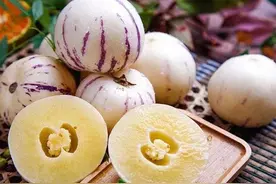 人参果是什么植物上结的果实？图片