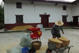 2022年，哪3类人将被销户，土地也将被收回？希望没有您图片