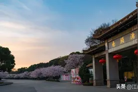 4个小时遍览鼋头渚美景，本地人贡献三条宝藏线路，让你高效游览图片